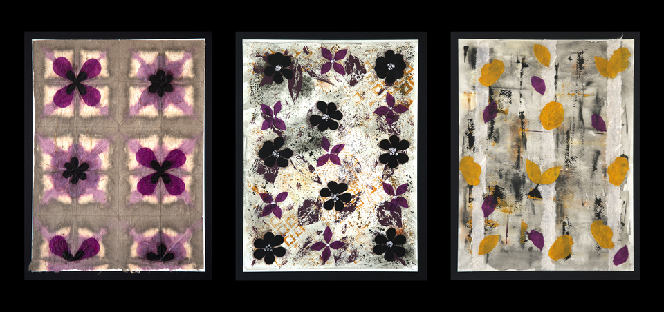 Patterns From Nature