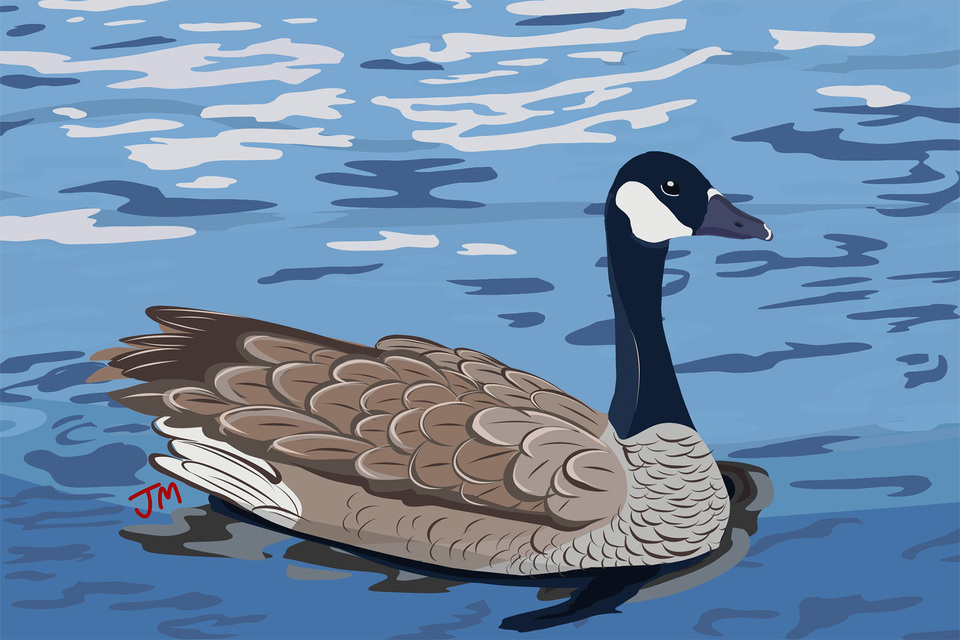 Digital Illustration 