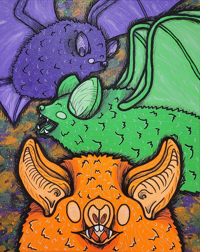 Chiroptera In Colour