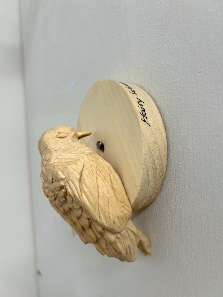 Hairy Woodpecker (Wee Woodpeckers)