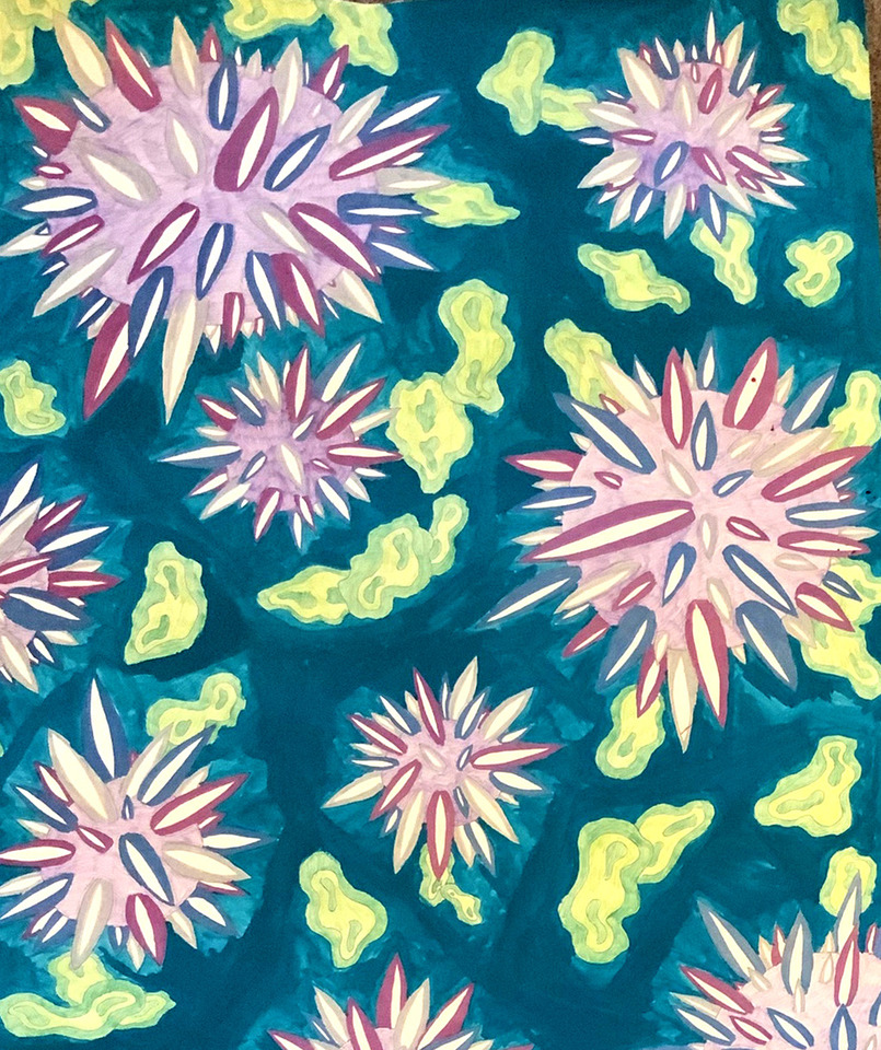 Under a microscope and into the imagination 