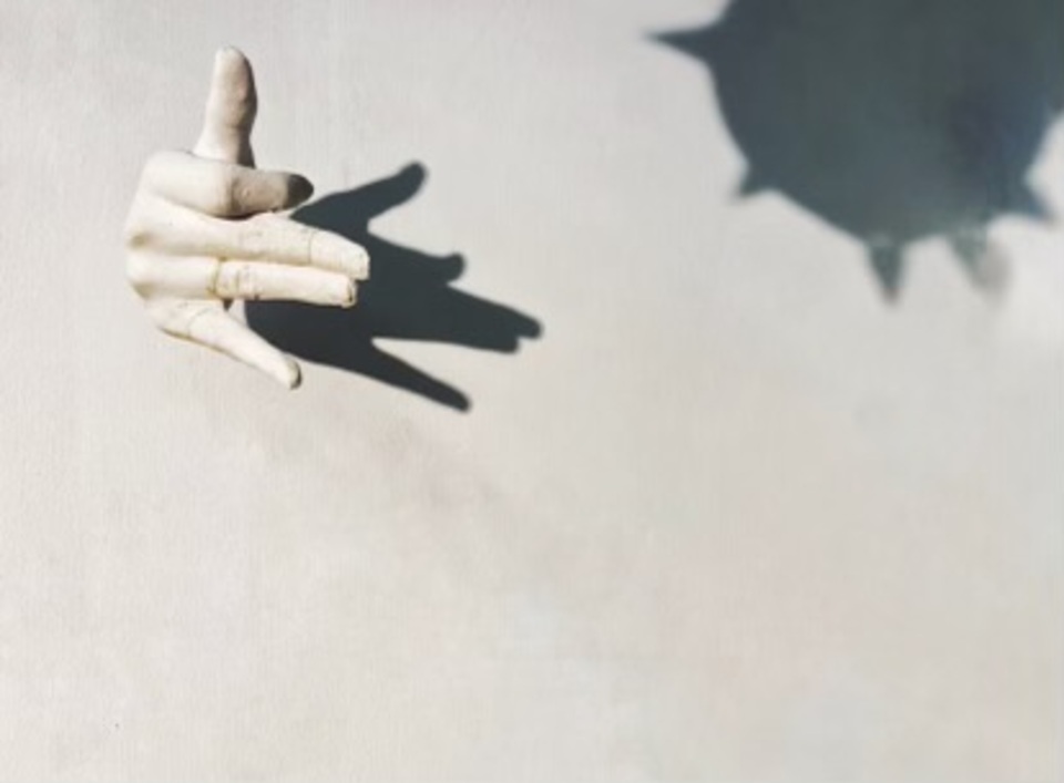 My Dog Is Scared Of Balloons. I Love My Dog Very Much And She Is So Scared Of Balloons