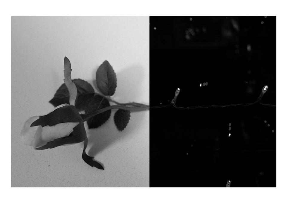 Rose Diptyph
