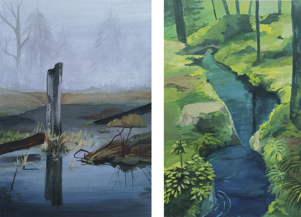 Foggy Swamp and Mossy Forest 