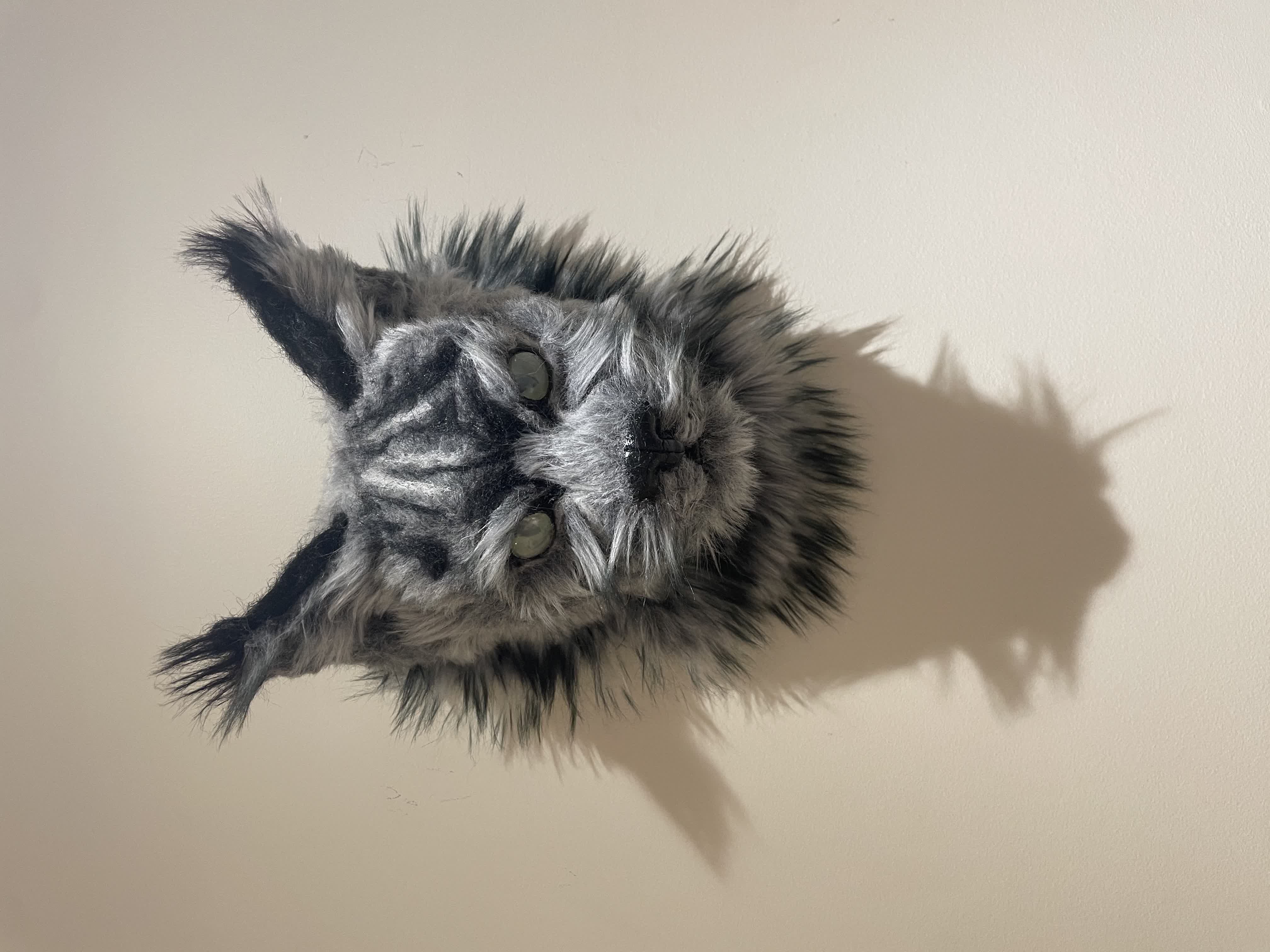 feline head prototype