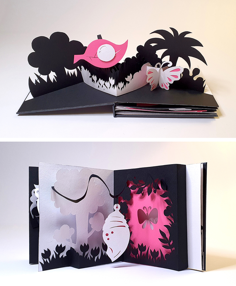 40. The Life of a Butterfly