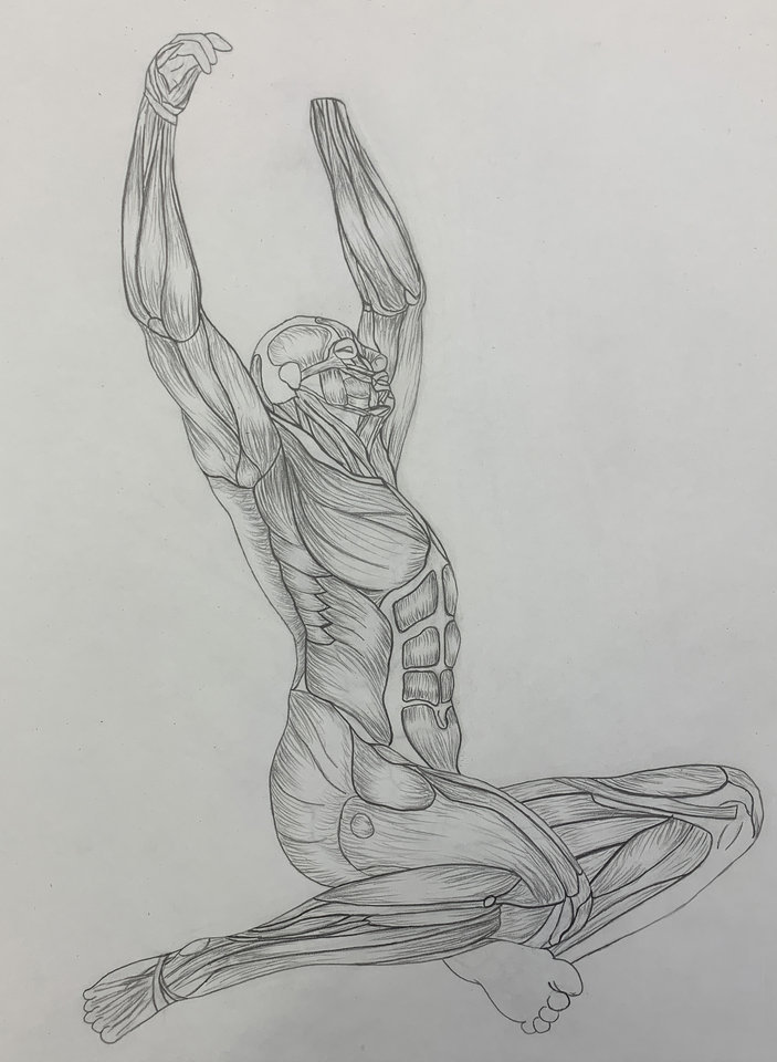 Muscle Study of Male Nude with Arms Up-Stretched