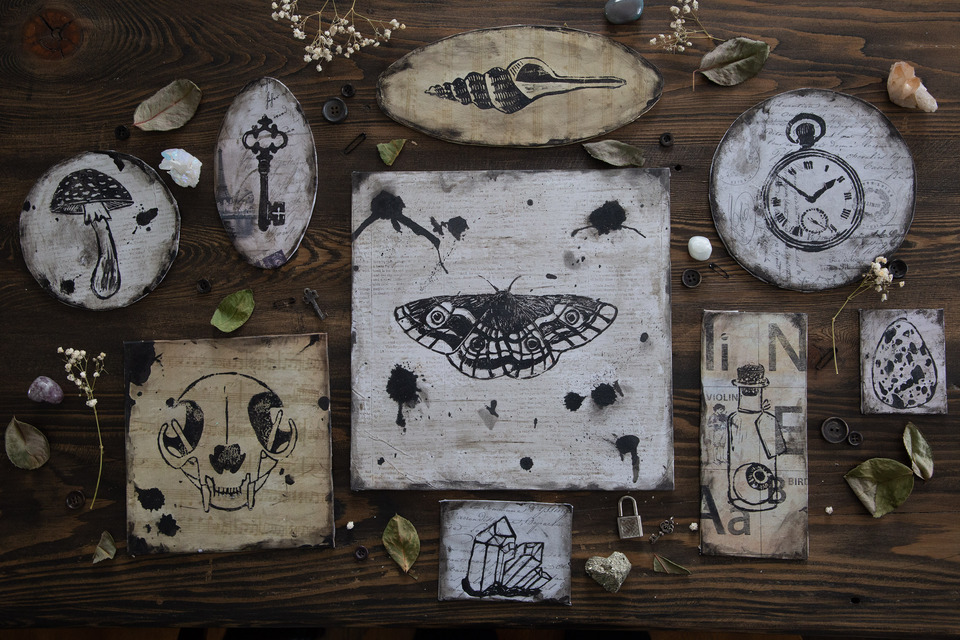 Collection of Curiosities 