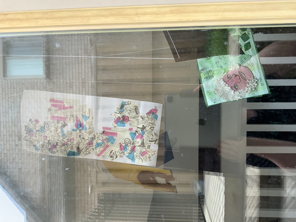 Project X Collection from Outside