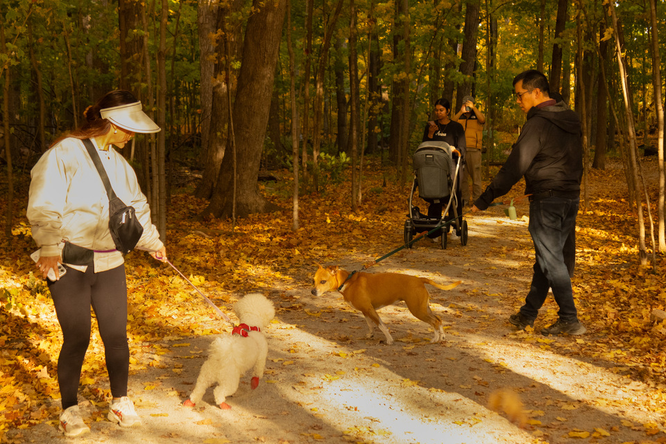 2. Environmental Portraiture