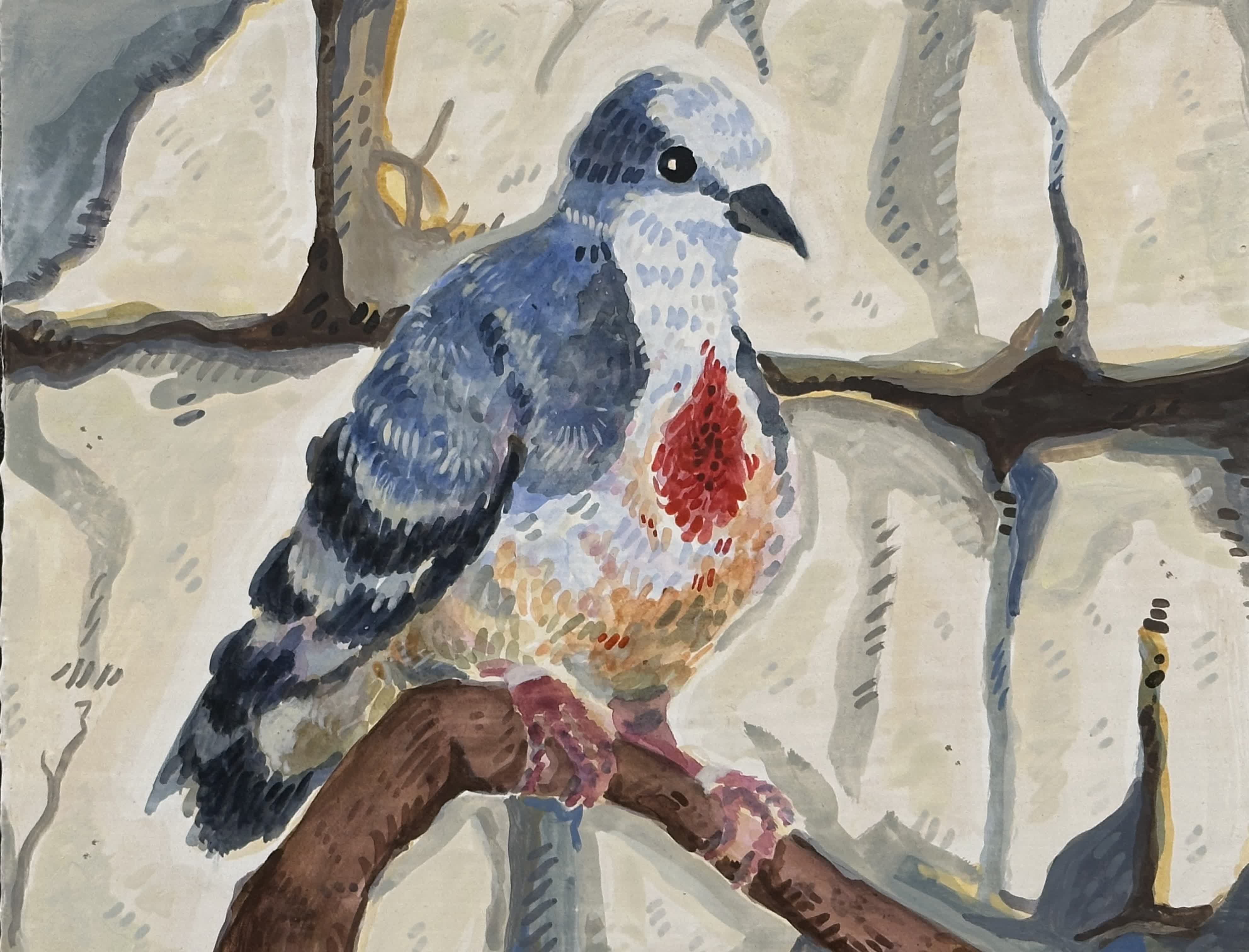 Bleeding Heart Dove