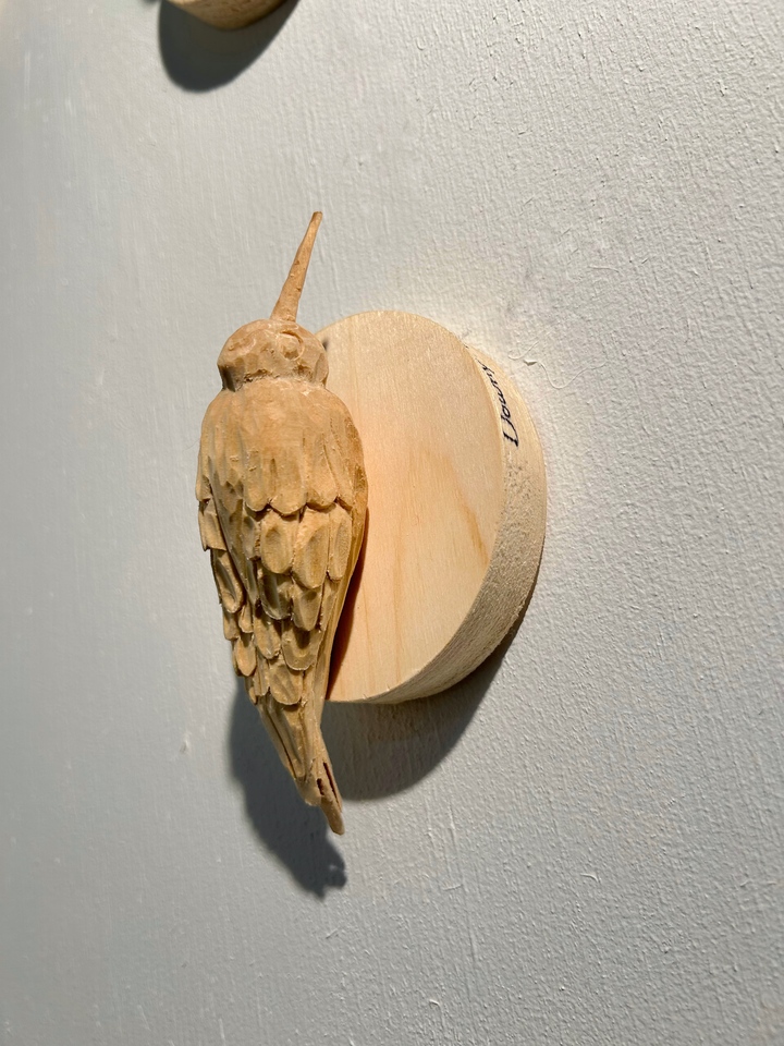 Downy Woodpecker (Wee Woodpeckers)