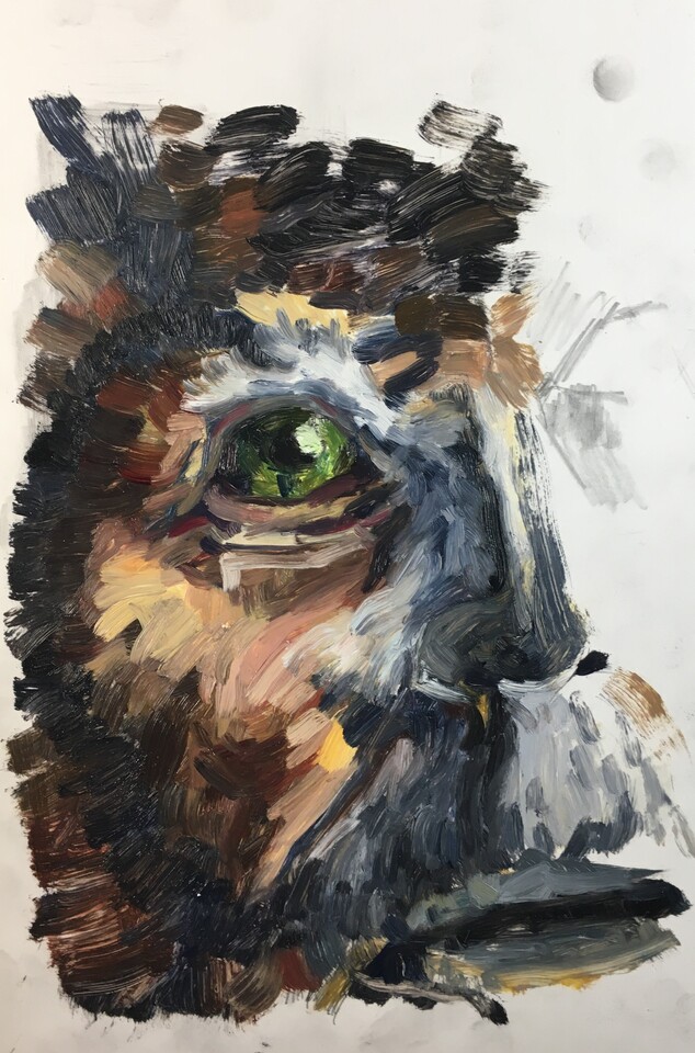 Owl