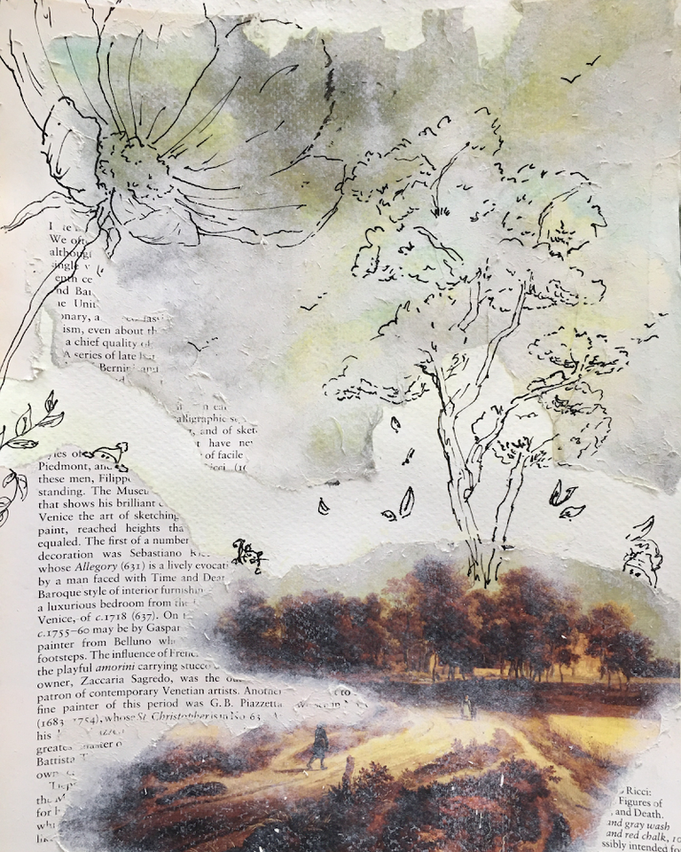 Collage Number 1; Nature's Beauty