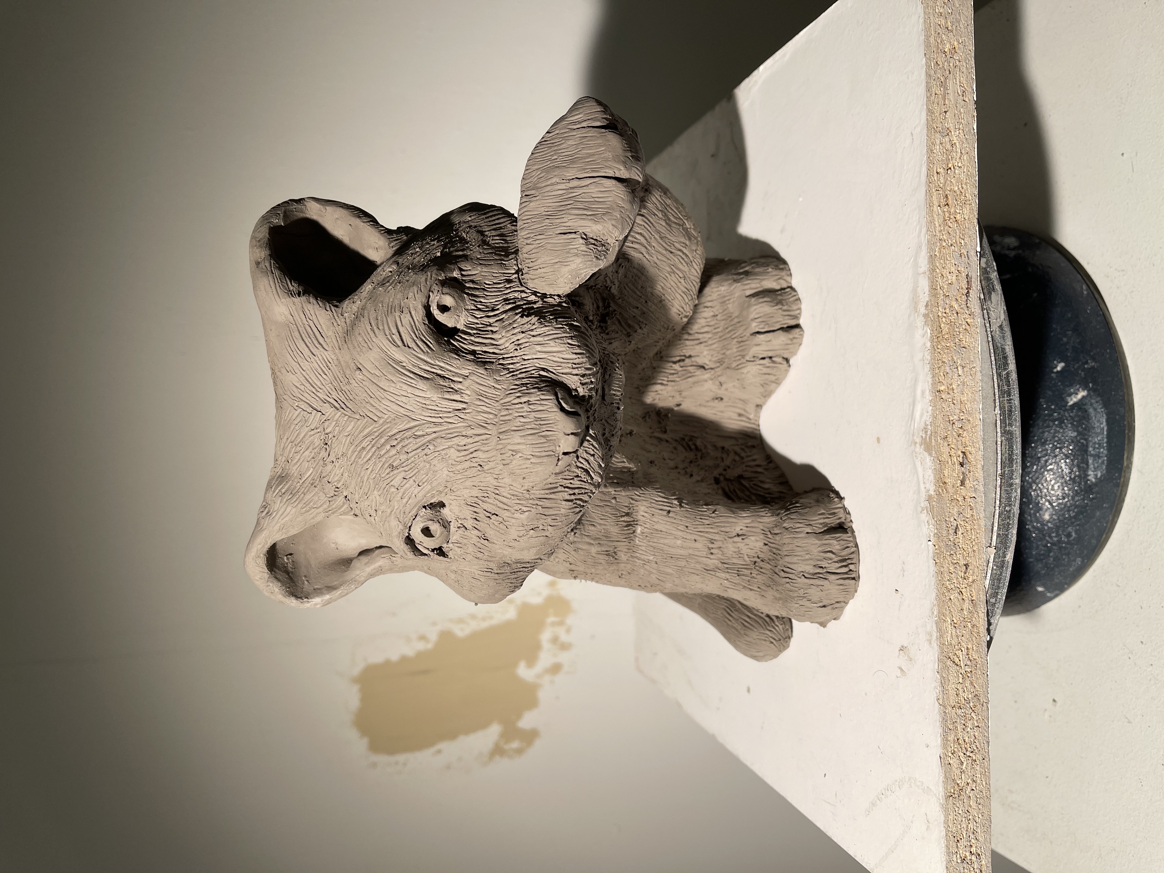 Black Jaguar Cub 1/9