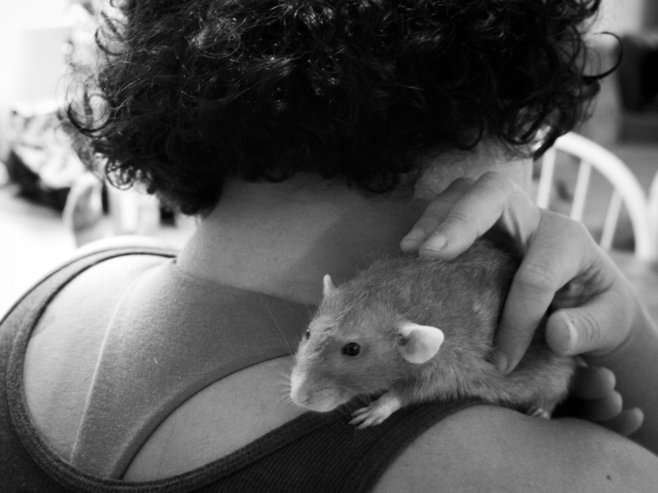 Portrait - Tasha and Miss Piper