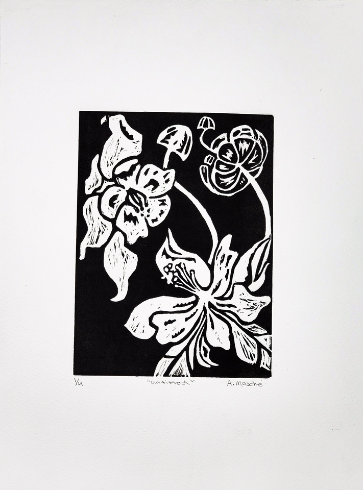 Pinwheels and Aquilegias