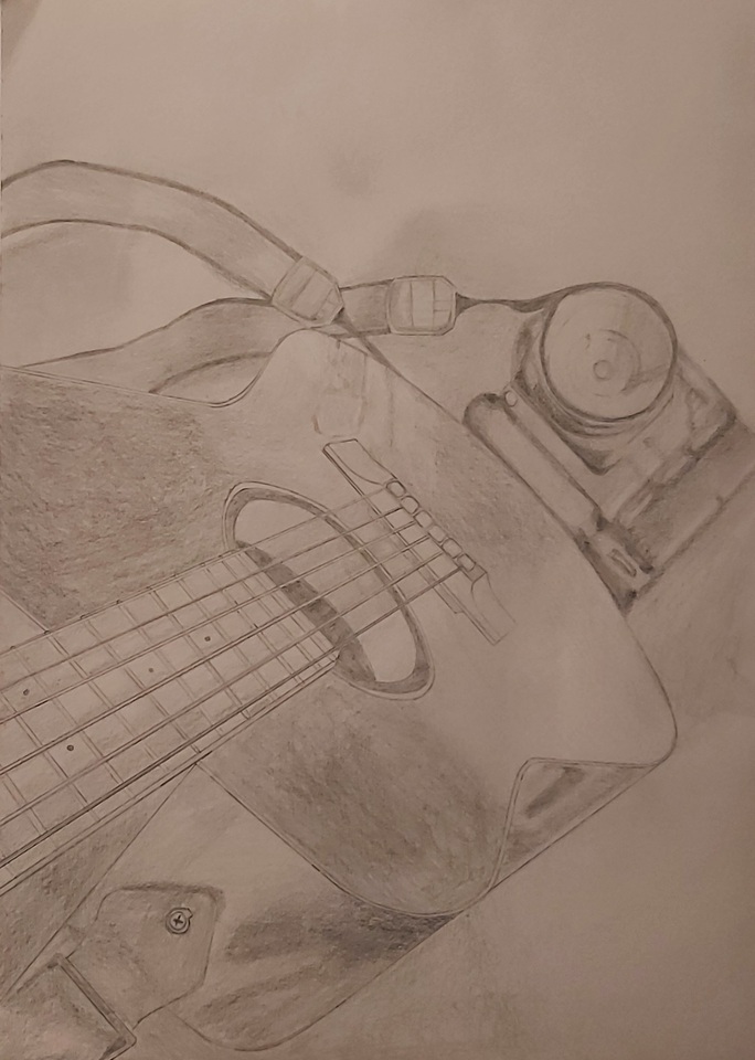 Guitar and camera 