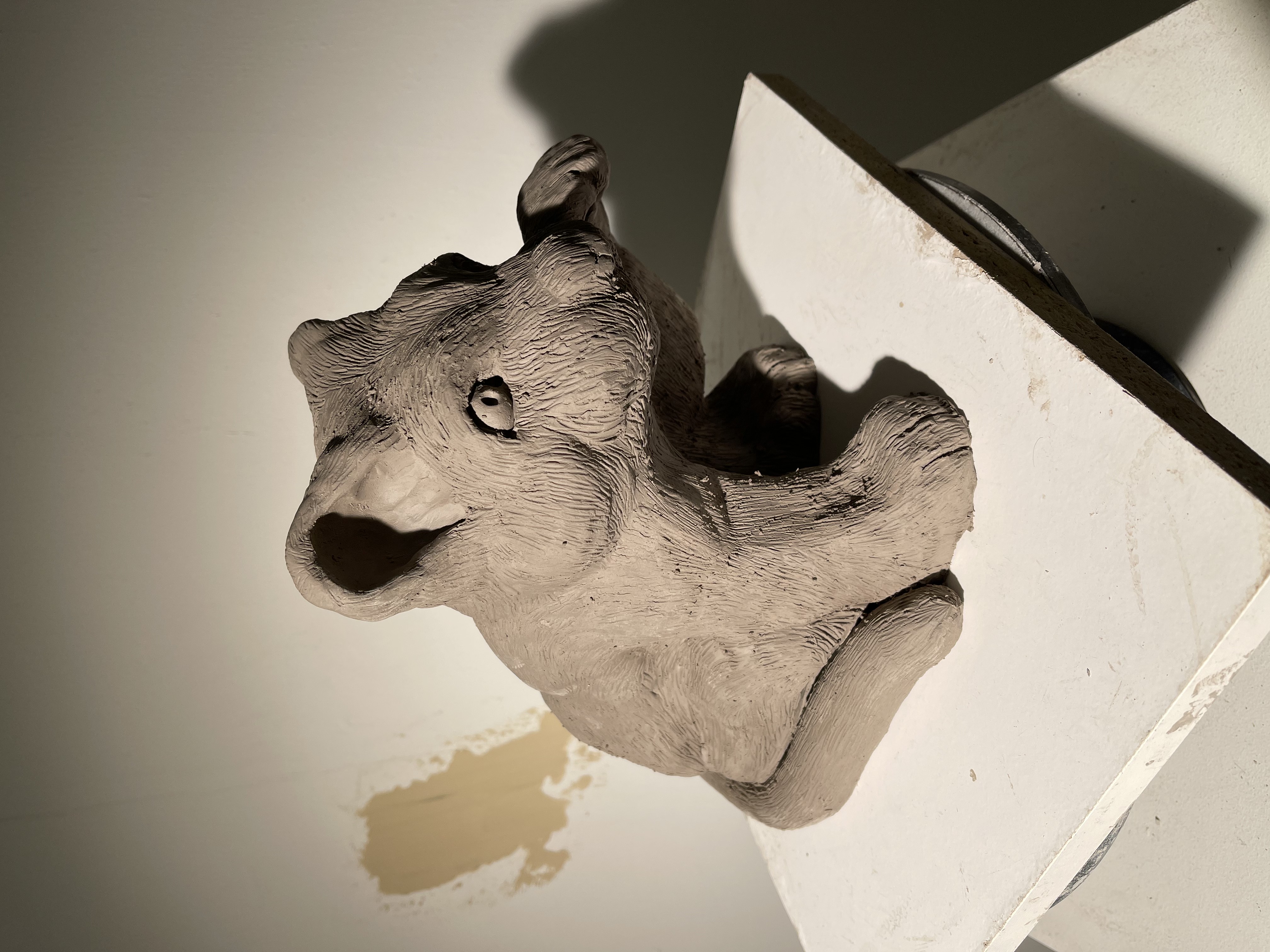 Black Jaguar Cub 5/9