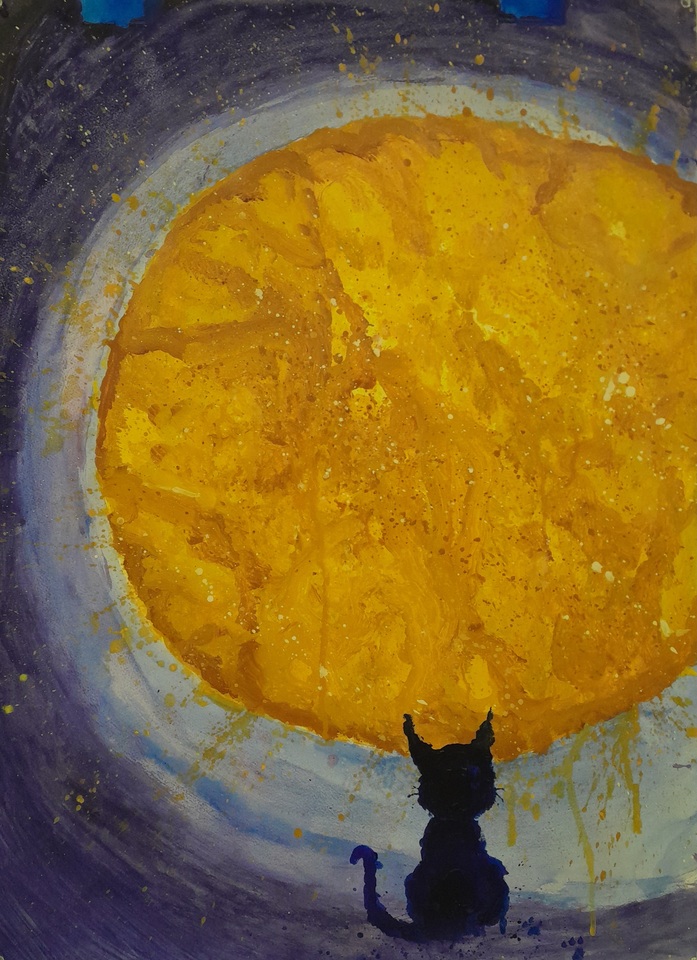 The Fascinating Cat's Eye