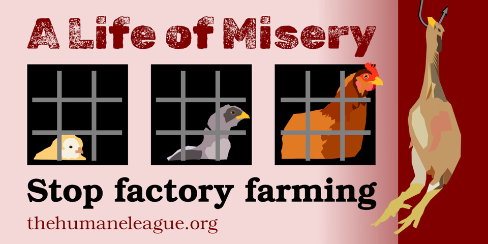 A Life of Misery