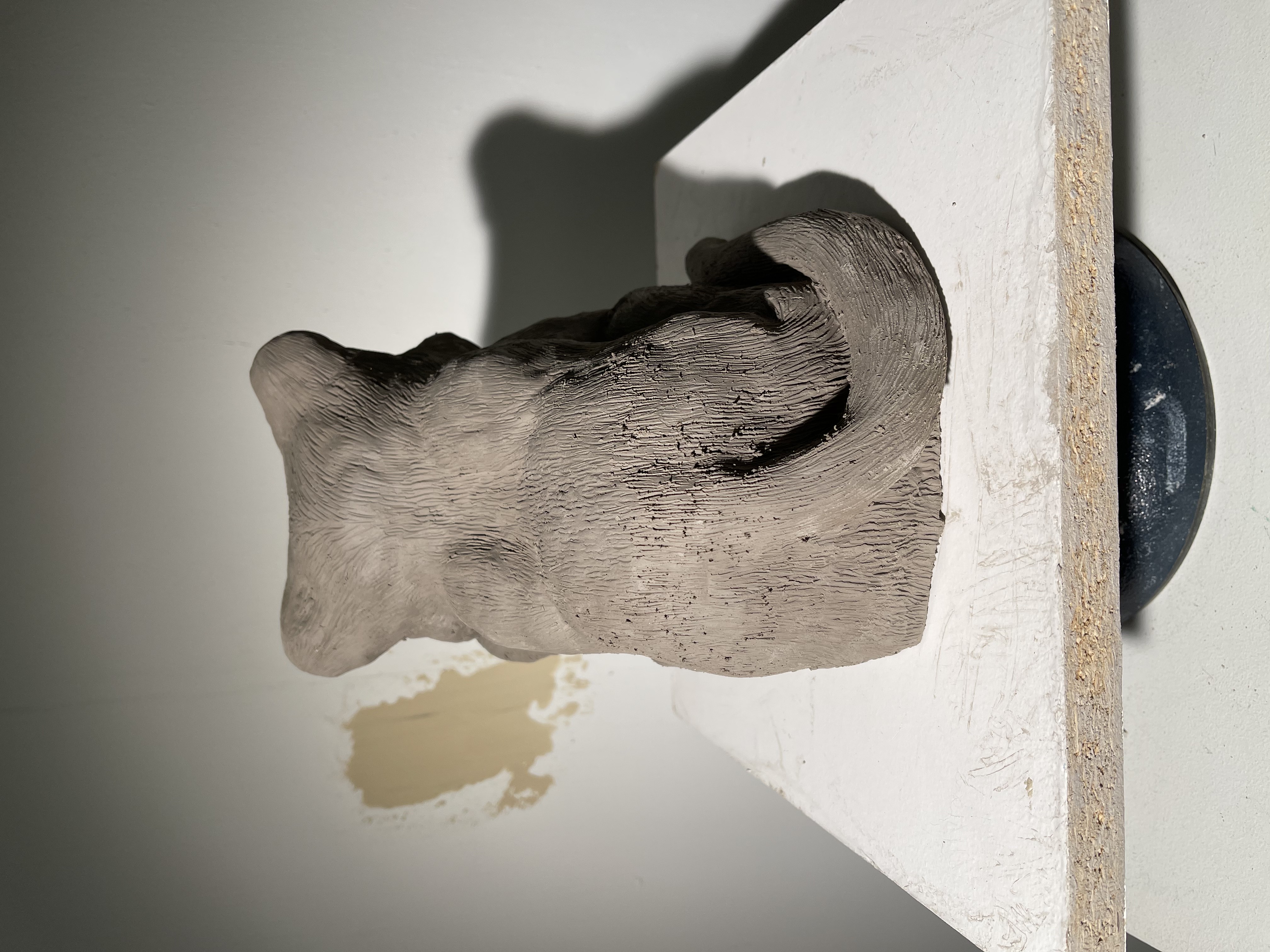 Black Jaguar Cub 3/9